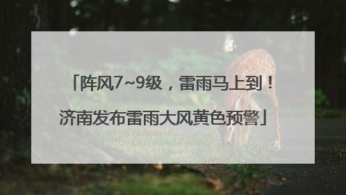 阵风7~9级，雷雨马上到！济南发布雷雨大风黄色预警